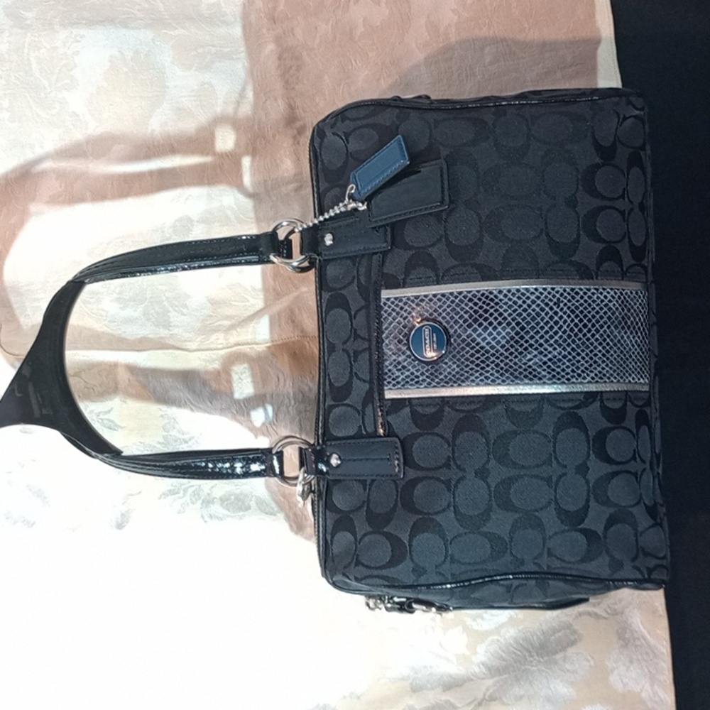 Coach Signature Stripe Python Satchel